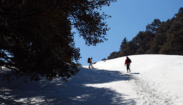 Treking in nepal